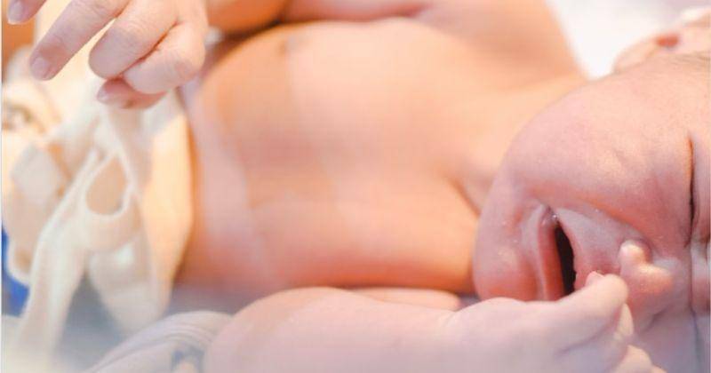 Instagram.com/shireenrosadi